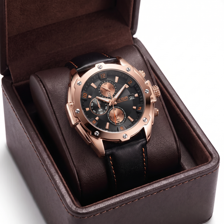 ALNWICK WATCH