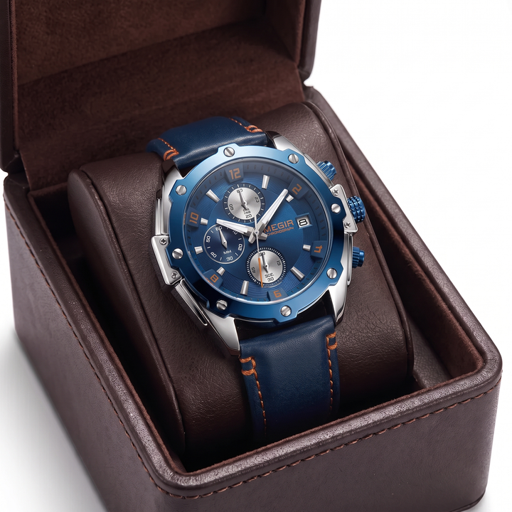 ALNWICK WATCH